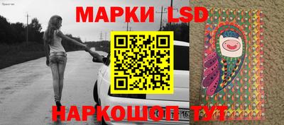 Альфа ПВП Малгобек
