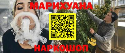 Альфа ПВП Малгобек