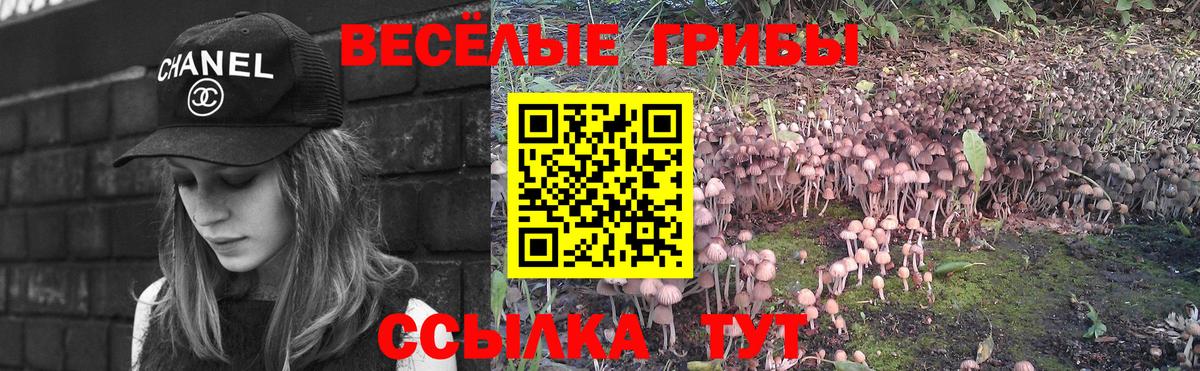 Псилоцибиновые грибы MAGIC MUSHROOMS  Псилоцибиновые грибы мухоморы  Вход с VPN  Камышин 